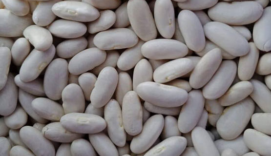 Kidney Beans