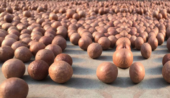 Macadamia Nuts