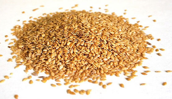 GOLDEN LINSEEDS