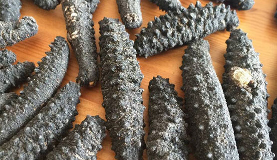 DRY SEA CUCUMBER