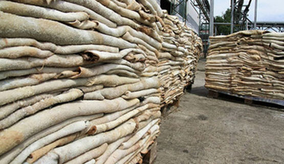DONKEY/COW HIDES