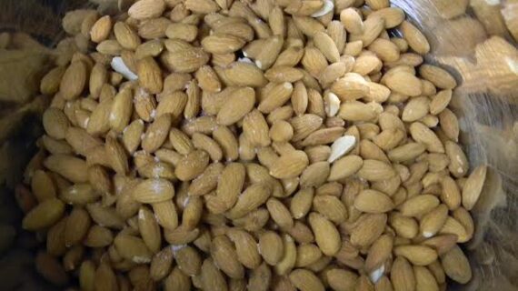 ALMOND NUTS
