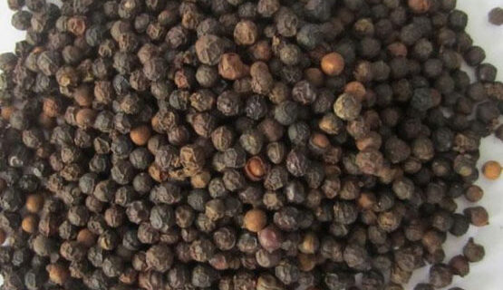 BLACK PEPPER
