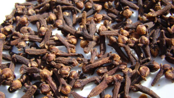 Cloves