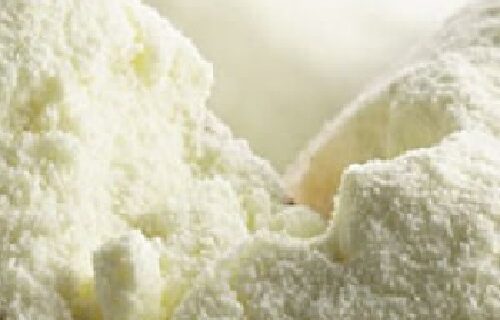 GOAT MILK POWDER FOR SALE
