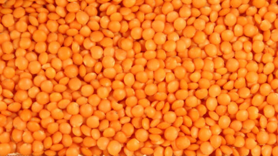 Lentils