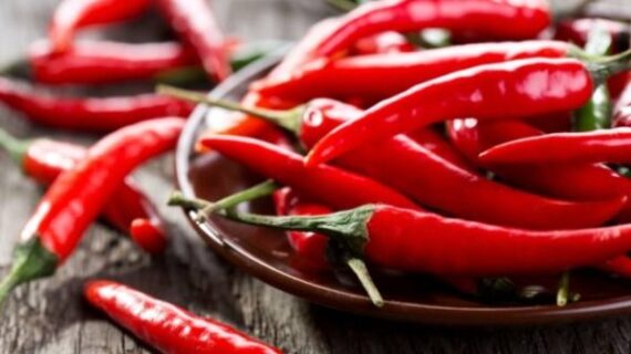 Red Chilli