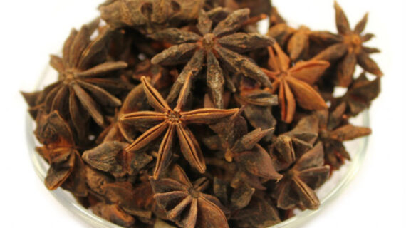 Star Anise