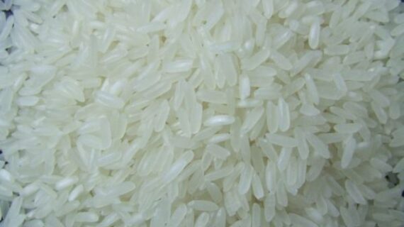 Thai Long Grain White Rice