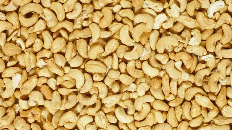 cashew kernels cashew kernels