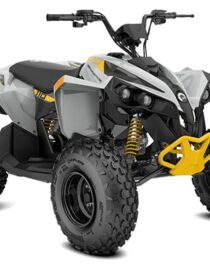 2026 Can-Am Renegade EFI (ATV Bikes) 2026 Can-Am Renegade EFI